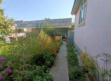 Torpaq sahələrinin satışı: 10 sot — 6