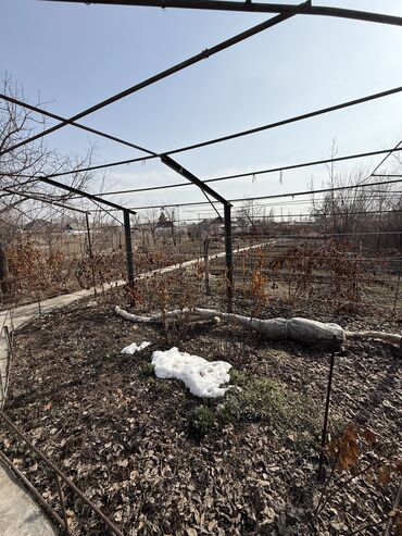 Продажа домов: Дом, 78 м², 2 комнаты, Собственник, Косметический ремонт at lalafo.kg — 25 Продажа домов: Дом, 78 м², 2 комнаты, Собственник, Косметический ремонт — 25