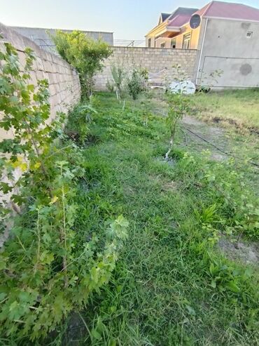 Torpaq sahələrinin satışı: 5 sot, Tikinti, Mülkiyyətçi, Bələdiyyə — 9