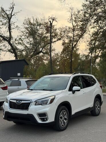 рено премиум фара: Subaru Forester: 2021 г., 2.5 л, Автомат, Бензин, Кроссовер