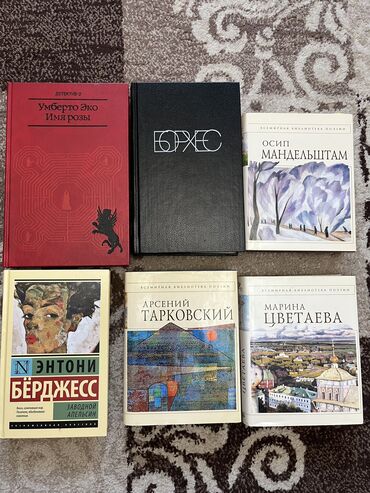 Художественная литература: Классика, На русском языке, Б/у, Самовывоз