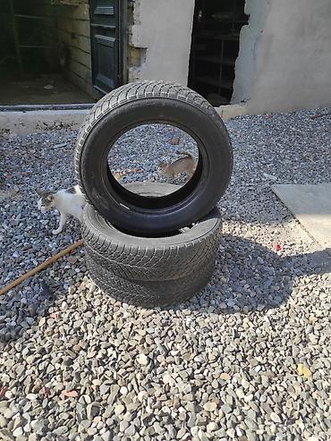 tap.az lada: İşlənmiş Şin Lassa 165 / 70 / R 14 — 1