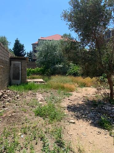 bulbule qesebesi: 5 sot, Tikinti, Makler, Kupça (Çıxarış) — 5