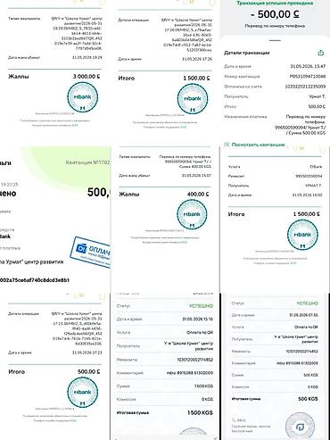 Другие курсы: Курс «Мыкты мугалим» — программа для преподавателей и тех, кто хочет — 35
