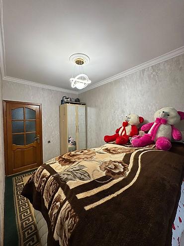 bileceri ucuz kiraye evler: 2 otaqlı, Yeni tikili, 52 kv. m — 5