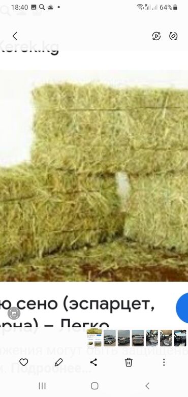продажа кормов для сельскохозяйственных животных: Эспарцет саты
лат тюк '180сом 'с поля 'Беловодское