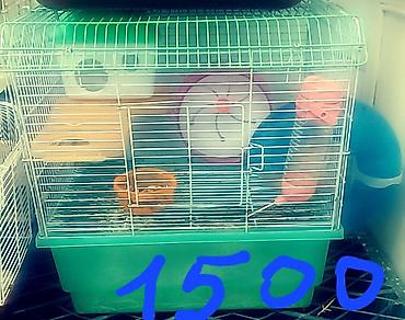 Зоотовары: Клетки очень дешево. распродаю остатки. цены от 500 до 1200 сом — 6