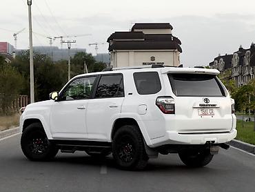 баги: Toyota 4Runner: 2023 г., 4 л, Автомат, Бензин, Внедорожник — 7