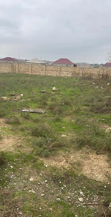 caravan satisi: Tikinti, Kupça (Çıxarış) — 4