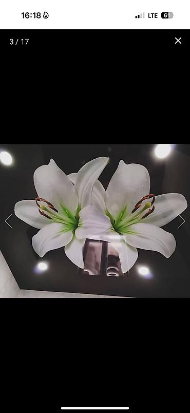 Натяжной потолок: Натяжной потолок Глянцевое, 3D потолки, Матовое Бесплатная консультация, Бесплатный замер, Гарантия — 6