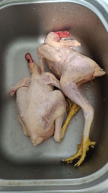 kend çolpaları: Təbii Qırmızı Sasso Çolpaları – Cəmi 12 AZN! 🐔 Tam sağlam, təbii — 8