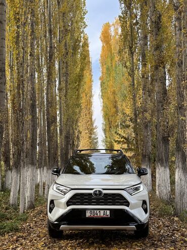 Toyota: Toyota RAV4: 2019 г., 2.5 л, Вариатор, Гибрид, Кроссовер