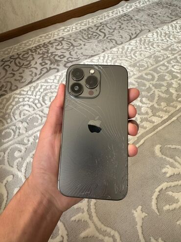 петличный микрофон купить: IPhone 13 Pro, 256 ГБ, Графит