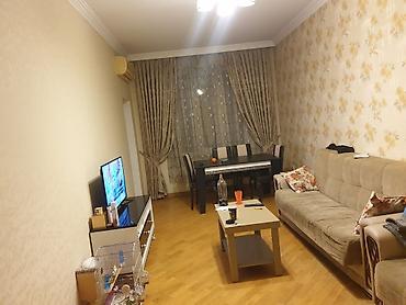 Квартиры: Deqiq oxu elani sora zeng ele.Ev 2 otaqlidi oglan qalir evin her bir — 2