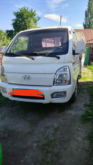 опель внедорожник: Легкий грузовик, Hyundai