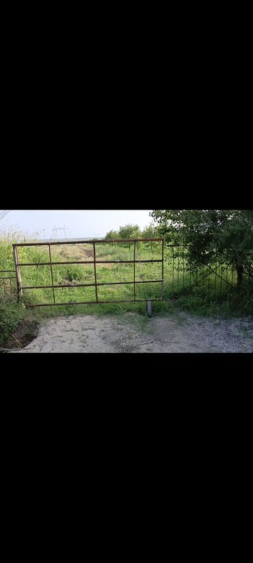 Torpaq sahələrinin satışı: 243 sot, Kənd təsərrüfatı, Mülkiyyətçi, Kupça (Çıxarış) — 16