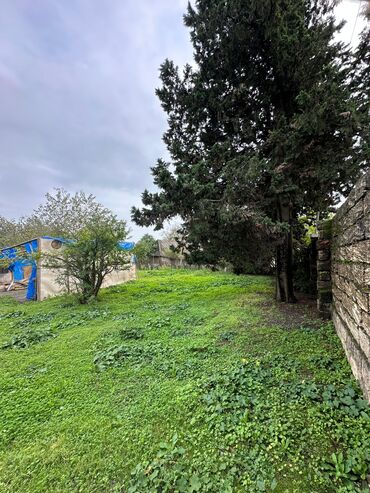 Torpaq sahələrinin satışı: 5 sot, Tikinti — 5