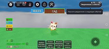 фрукты в корзине: Игровой аккаунт/набор в Roblox (симулятор с питомцами и предметами) — 2