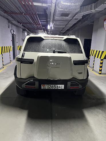 byd leopard 3: BYD FangChengBao Leopard 3: 2025 г., Электромобиль, Кроссовер — 3
