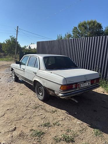 mercedes benz g class: Mercedes-Benz W123: 1980 г., 2.3 л, Механика, Бензин, Седан — 4