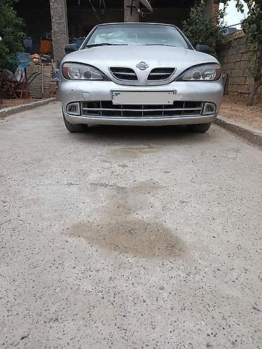 afdamabiler: Nissan Primera: 1.6 l | 1999 il Sedan — 1