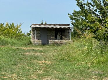 Torpaq sahələrinin satışı: 285 sot, Kənd təsərrüfatı, Mülkiyyətçi, Kupça (Çıxarış) — 8