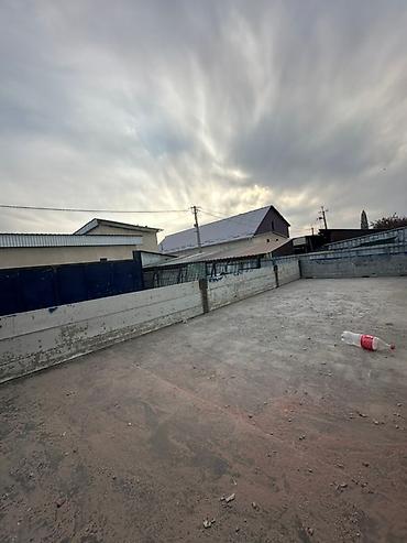 Грузовики: Грузовик, DAF, Б/у — 11