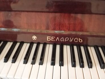 Тар: Piyanina Belarus