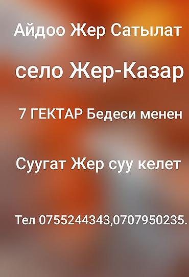 Жер тилкелери: 7 соток — 1