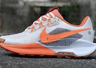 Кроссовки и спортивная обувь: Под заказ! Кроссовки для трейлраннинга Nike Trail - Назначение: бег — 11