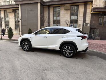 nx лексус: Lexus NX: 2017 г., 2 л, Автомат, Бензин, Кроссовер