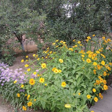 Продажа домов: Дом, 1700 м², 4 комнаты, Собственник, Дизайнерский ремонт — 15