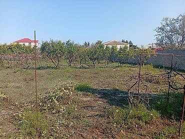Torpaq sahələrinin satışı: 21 sot, Tikinti, Kupça (Çıxarış) — 1