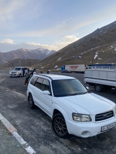 субару форестер турбо: Subaru Forester: 2003 г., 2 л, Автомат, Бензин, Кроссовер