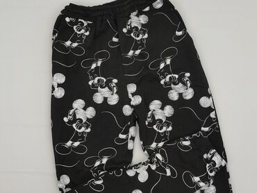 szczuple spodnie dla chlopca: Sweatpants, 14 years, 158/164, condition - Perfect