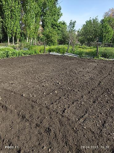 Другие услуги: Спашка огорода С дизельный мотоблок и бензиновый Цена договорная — 7