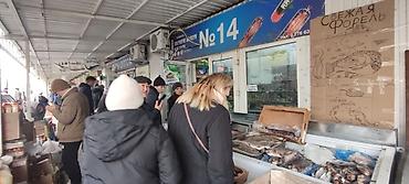 денсяопина: Продажа торговых контейнеров, Дордой Моторс рынок, 20 тонн, С оборудованием — 2