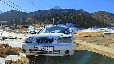 Hyundai: Hyundai Avante: 2001 г., 1.5 л, Автомат, Бензин, Седан — 8