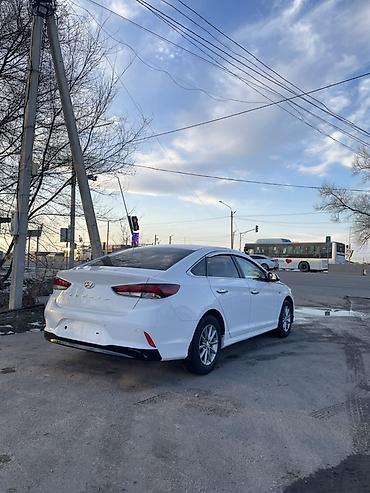 Hyundai: Hyundai Sonata: 2022 г., 2 л, Автомат, Газ, Седан — 8