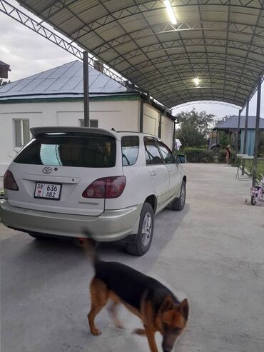 Toyota: Toyota Harrier: 1999 г., 3 л, Автомат, Бензин, Кроссовер — 7