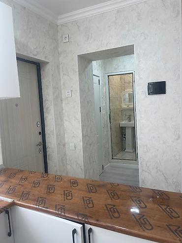 Həyət evləri və villalar: 2 otaqlı, 30 kv. m, Yeni təmirli — 5
