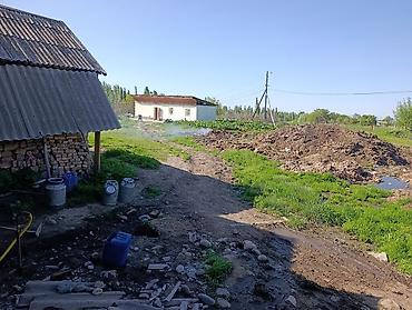 админ сони: Требуется Скотник, Оплата: Ежемесячно — 6