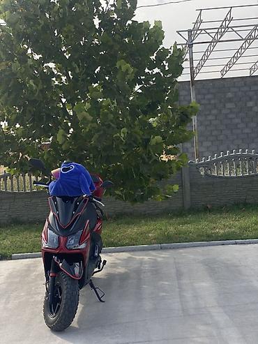 Продаю скутер Самурай 2026 года 150 куб, брал новым в начале лета at lalafo.kg Продаю скутер Самурай 2026 года 150 куб, брал новым в начале лета