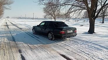Mercedes-Benz: Mercedes-Benz E-Class: 1993 г., 3.2 л, Автомат, Бензин, Седан — 6