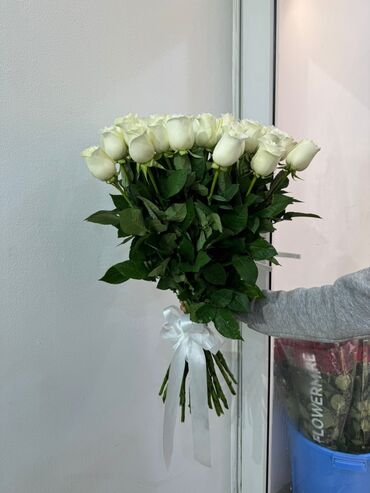 малина цена за 1 кг: Белые розы 
70 см
50 см