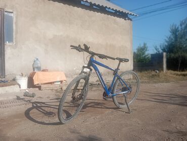 спартивный велосипет: Тоо велосипеди, Trinx, Велосипед алкагы XL (180 - 195 см), Алюминий, Колдонулган