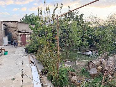 a frame ev satilir: 6 sot, Biznes üçün, Mülkiyyətçi, Kupça (Çıxarış) — 1