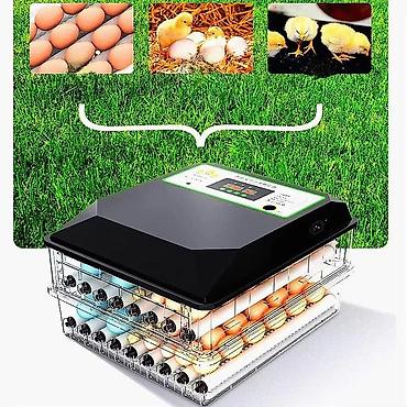 ucuz mallar: BBQ -qazan termometri — 2