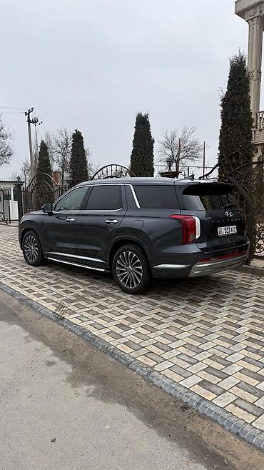 матиз молдинг: Hyundai Palisade: 2023 г., 2.2 л, Автомат, Дизель, Внедорожник — 6