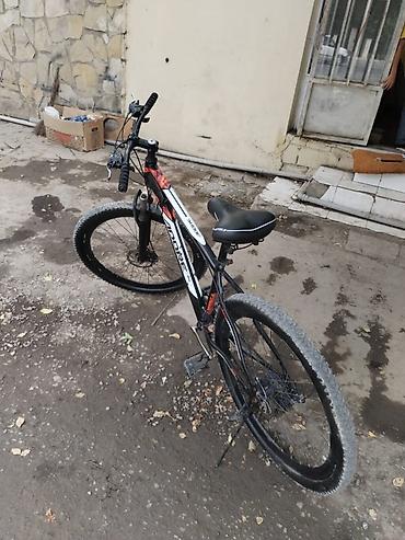 islenmis velosiped satisi: Velosiped satılır – şəhərdaxili sürüş və yüngül off-road istifadə üçün — 2